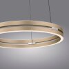 Lámparas Paul Neuhaus E-Loop Lámparas colgantes LED Latón, 2 luces, Mando a distancia