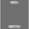 Lámparas Paul Neuhaus E-Loop Lámparas colgantes LED Plata, 2 luces, Mando a distancia