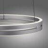 Lámparas Paul Neuhaus E-Loop Lámparas colgantes LED Plata, 2 luces, Mando a distancia