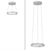 Lámparas Paul Neuhaus E-Loop Lámparas colgantes LED Plata, 2 luces, Mando a distancia