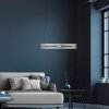 Lámparas Paul Neuhaus E-Loop Lámparas colgantes LED Plata, 2 luces, Mando a distancia