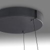 Lámparas Paul Neuhaus E-Loop Lámparas colgantes LED Negro, 2 luces, Mando a distancia