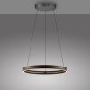 Lámparas Paul Neuhaus E-Loop Lámparas colgantes LED Negro, 2 luces, Mando a distancia