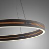 Lámparas Paul Neuhaus E-Loop Lámparas colgantes LED Negro, 2 luces, Mando a distancia
