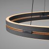 Lámparas Paul Neuhaus E-Loop Lámparas colgantes LED Negro, 2 luces, Mando a distancia