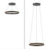 Lámparas Paul Neuhaus E-Loop Lámparas colgantes LED Negro, 2 luces, Mando a distancia