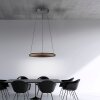 Lámparas Paul Neuhaus E-Loop Lámparas colgantes LED Negro, 2 luces, Mando a distancia