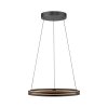 Lámparas Paul Neuhaus E-Loop Lámparas colgantes LED Negro, 2 luces, Mando a distancia