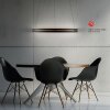Lámparas Paul Neuhaus E-Loop Lámparas colgantes LED Negro, 2 luces, Mando a distancia