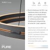 Lámparas Paul Neuhaus E-Loop Lámparas colgantes LED Negro, 2 luces, Mando a distancia