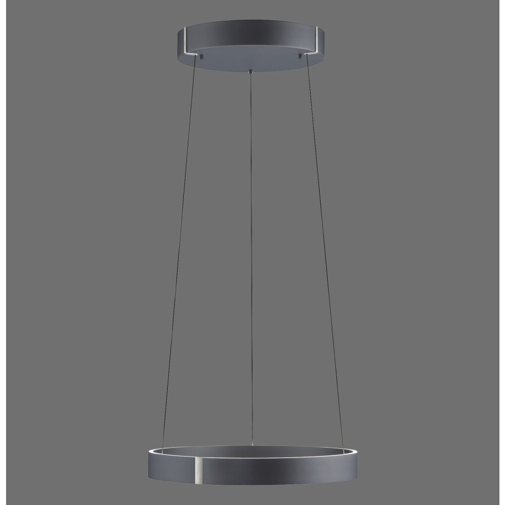Lámparas Paul Neuhaus E-Clipse Lámparas colgantes LED Gris, 2 luces, Mando a distancia main product photo