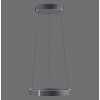 Lámparas Paul Neuhaus E-Clipse Lámparas colgantes LED Gris, 2 luces, Mando a distancia