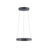 Lámparas Paul Neuhaus E-Clipse Lámparas colgantes LED Gris, 2 luces, Mando a distancia