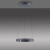 Lámparas Paul Neuhaus E-Clipse Lámparas colgantes LED Gris, 2 luces, Mando a distancia