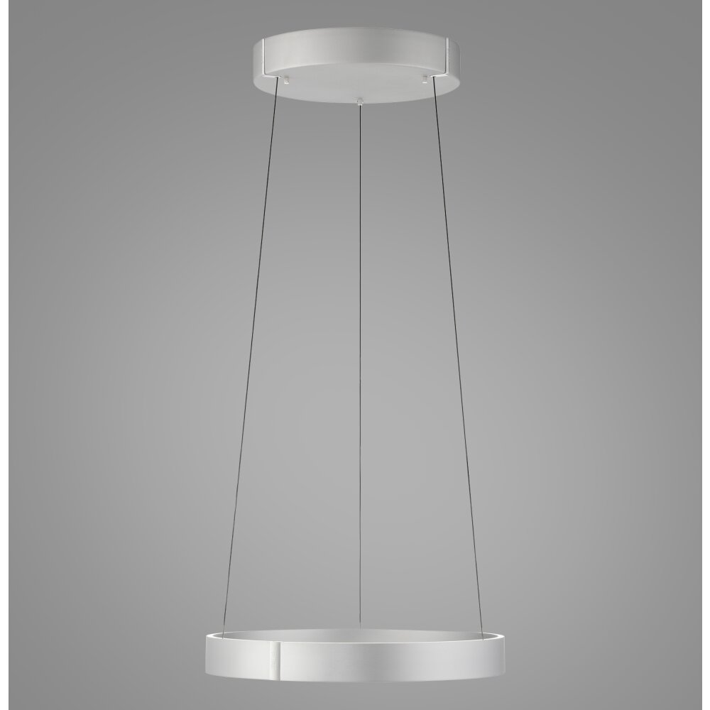 Lámparas Paul Neuhaus E-Clipse Lámparas colgantes LED Plata, 2 luces, Mando a distancia main product photo