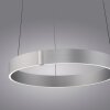 Lámparas Paul Neuhaus E-Clipse Lámparas colgantes LED Plata, 2 luces, Mando a distancia
