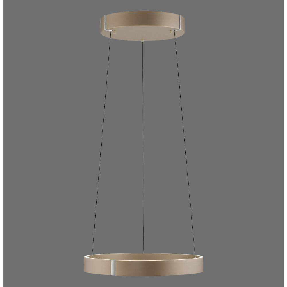 Lámparas Paul Neuhaus E-Clipse Lámparas colgantes LED Bronce, 2 luces, Mando a distancia main product photo