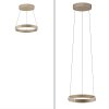 Lámparas Paul Neuhaus E-Clipse Lámparas colgantes LED Bronce, 2 luces, Mando a distancia