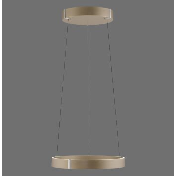 Lámparas Paul Neuhaus E-Clipse Lámparas colgantes LED Bronce, 2 luces, Mando a distancia