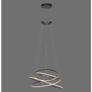 Lámparas Paul Neuhaus Rings Lámparas colgantes LED Gris, 1 luz, Mando a distancia