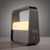Lámparas Paul Neuhaus Go Lámparas de mesa LED Gris, 1 luz