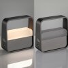 Lámparas Paul Neuhaus Go Lámparas de mesa LED Gris, 1 luz