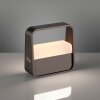 Lámparas Paul Neuhaus Go Lámparas de mesa LED Marrón, 1 luz