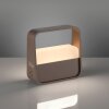 Lámparas Paul Neuhaus Go Lámparas de mesa LED Bronce, 1 luz