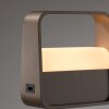 Lámparas Paul Neuhaus Go Lámparas de mesa LED Bronce, 1 luz
