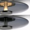 Lámparas Paul Neuhaus Vitrum Lámparas de mesa LED Gris, 1 luz