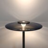 Lámparas Paul Neuhaus Vitrum Lámpara de pie LED Gris, 2 luces
