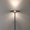 Lámparas Paul Neuhaus Vitrum Lámpara de pie LED Gris, 2 luces