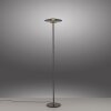 Lámparas Paul Neuhaus Vitrum Lámpara de pie LED Gris, 2 luces