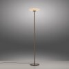 Lámparas Paul Neuhaus Vitrum Lámpara de pie LED Marrón, 2 luces