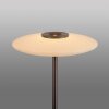 Lámparas Paul Neuhaus Vitrum Lámpara de pie LED Marrón, 2 luces