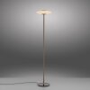 Lámparas Paul Neuhaus Vitrum Lámpara de pie LED Marrón, 2 luces