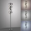 Lámparas Paul Neuhaus Popup Lámpara de pie LED Gris, 12 luces