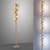 Lámparas Paul Neuhaus Popup Lámpara de pie LED Bronce, 12 luces