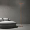 Lámparas Paul Neuhaus Moon Lámpara de pie LED Bronce, 2 luces
