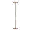 Lámparas Paul Neuhaus Moon Lámpara de pie LED Bronce, 2 luces