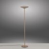 Lámparas Paul Neuhaus Moon Lámpara de pie LED Bronce, 2 luces