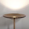 Lámparas Paul Neuhaus Moon Lámpara de pie LED Bronce, 2 luces