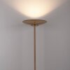 Lámparas Paul Neuhaus Moon Lámpara de pie LED Bronce, 2 luces