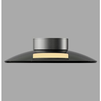 Lámparas Paul Neuhaus Moon Plafones LED Gris, 2 luces