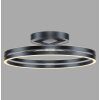 Lámparas Paul Neuhaus Loop Plafones LED Gris, 2 luces, Mando a distancia
