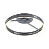 Lámparas Paul Neuhaus Loop Plafones LED Gris, 2 luces, Mando a distancia