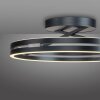Lámparas Paul Neuhaus Loop Plafones LED Gris, 2 luces, Mando a distancia
