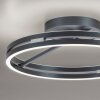 Lámparas Paul Neuhaus Loop Plafones LED Gris, 2 luces, Mando a distancia