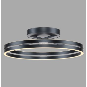 Lámparas Paul Neuhaus Loop Plafones LED Gris, 2 luces, Mando a distancia