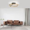 Lámparas Paul Neuhaus Loop Plafones LED dorado, Negro, 2 luces, Mando a distancia